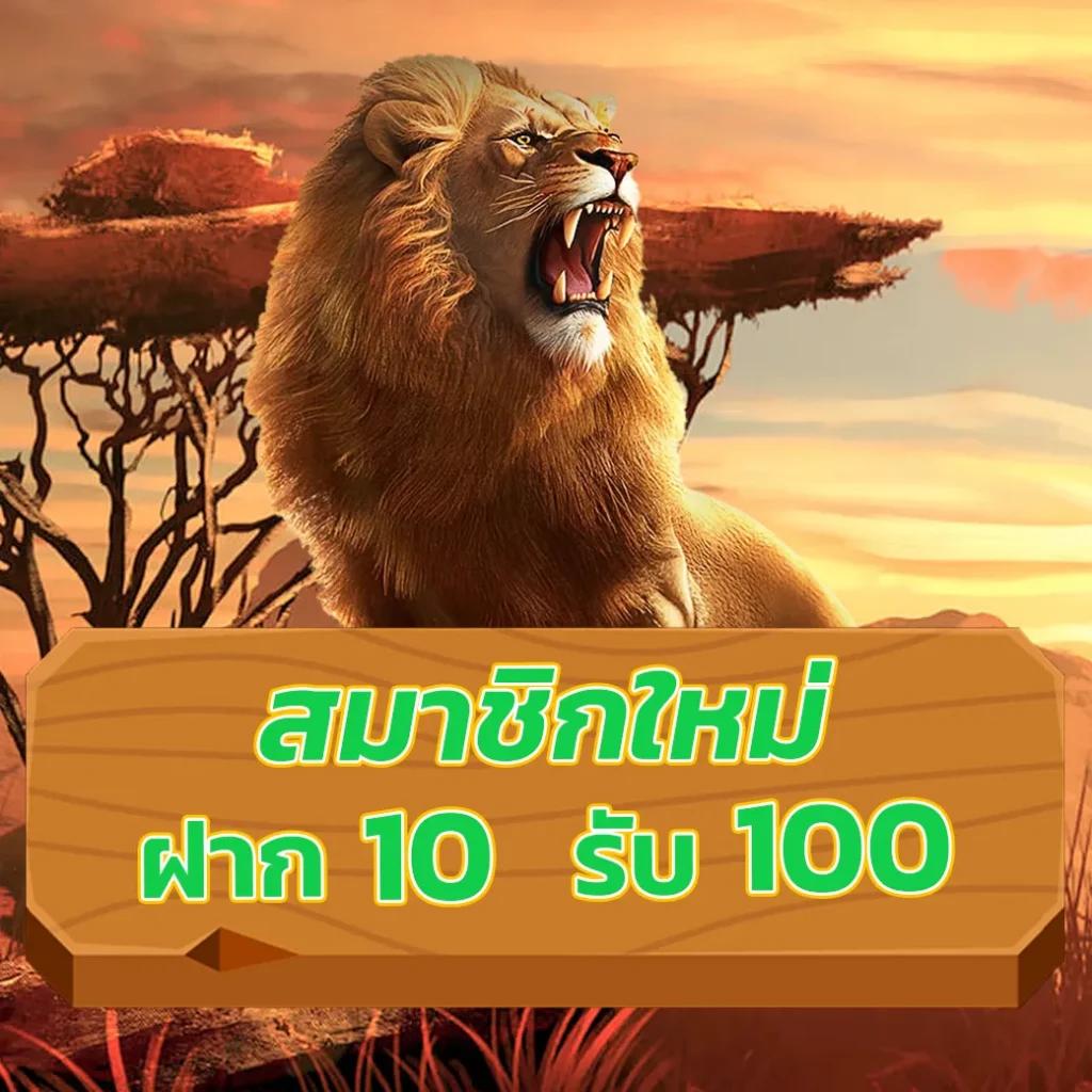 Starx888 เว็บคาสิโนออนไลน์สุดฮิต จัดเต็มทุกความบันเทิง ได้มาตรฐานมั่นใจ