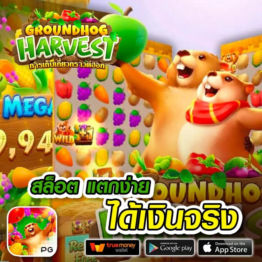 k9win สล็อต เว็บตรงสุดมันส์ พร้อมโปรโมชั่นแรงในไทย 2024