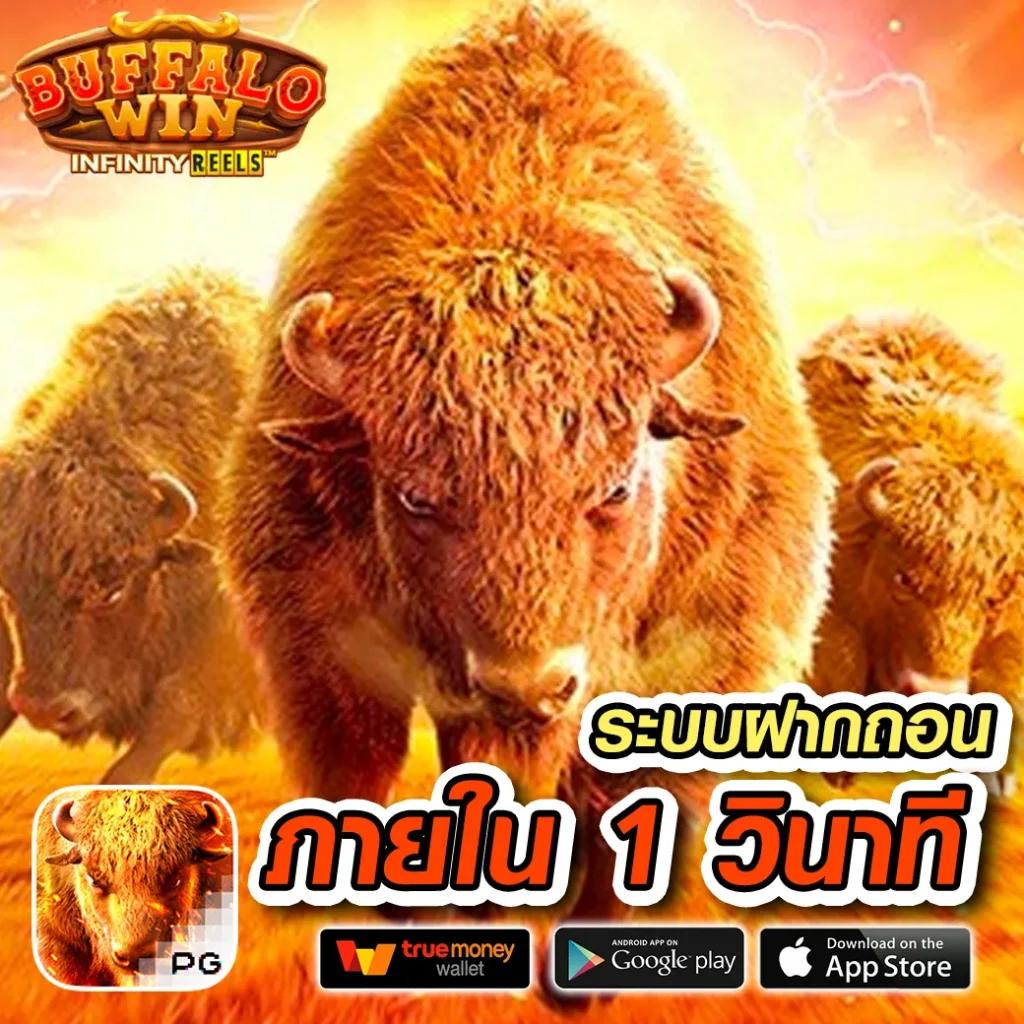 sb888 สล็อต เว็บตรง แทงบอลใหม่ล่าสุด 2024 เติมเต็มความบันเทิงเต็มรูปแบบ
