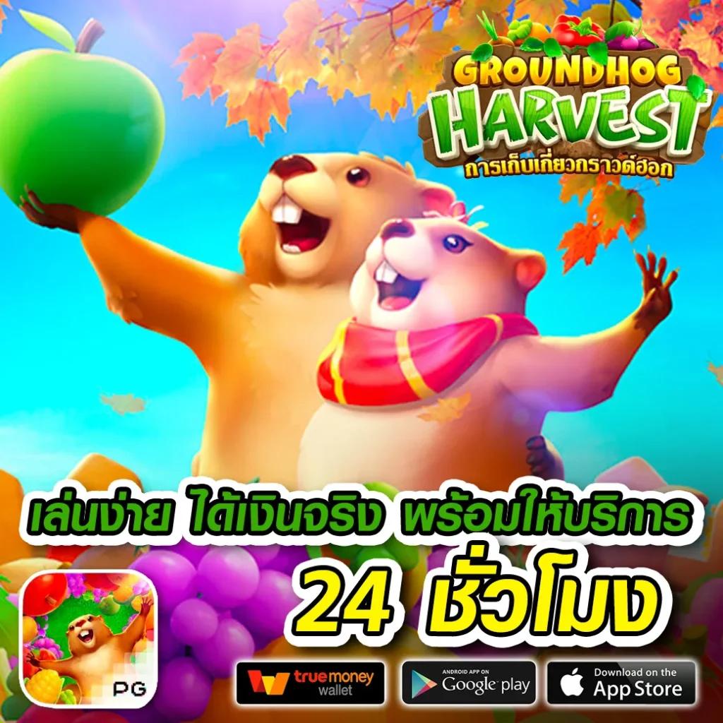 วิเคราะห์ผลบอลวันนี้ บริการรวดเร็วแม่นยำในคาสิโนออนไลน์
